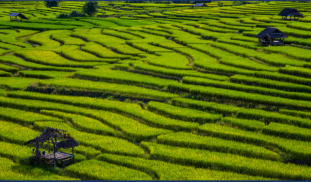 Screenshot 2022-03-15 142119.png